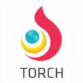 Torch icon