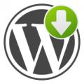 WordPress icon